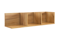 Полка Доминика положение 1